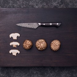 Zwilling Couteau à larder et garnir 10 cm, Brun - Image 2