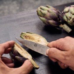 Zwilling Couteau à larder et garnir 10 cm, Brun, Ziricote - Image 2
