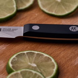 Zwilling Couteau à larder et garnir 10 cm - Image 4