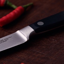 Zwilling Couteau à larder et garnir 10 cm - Image 5