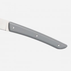 Berkel Coffret de 4 couteaux à steak gris - Image principale