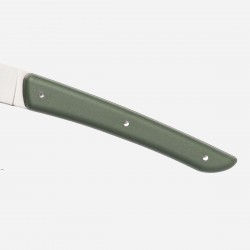 Berkel Coffret de 4 couteaux à steak verts - Image principale